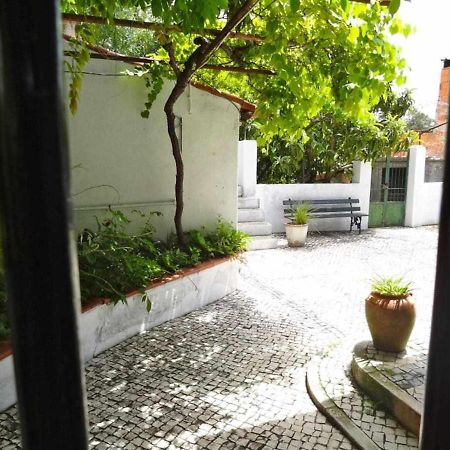 Casa Dos Pocinhos Ferias Tranquilas No Campo Torres Novas Eksteriør billede